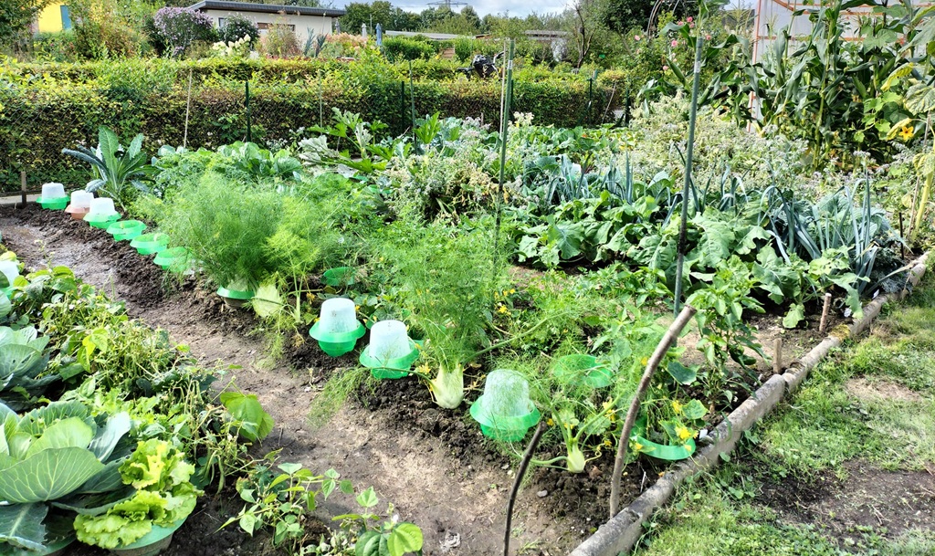 Erntezeit