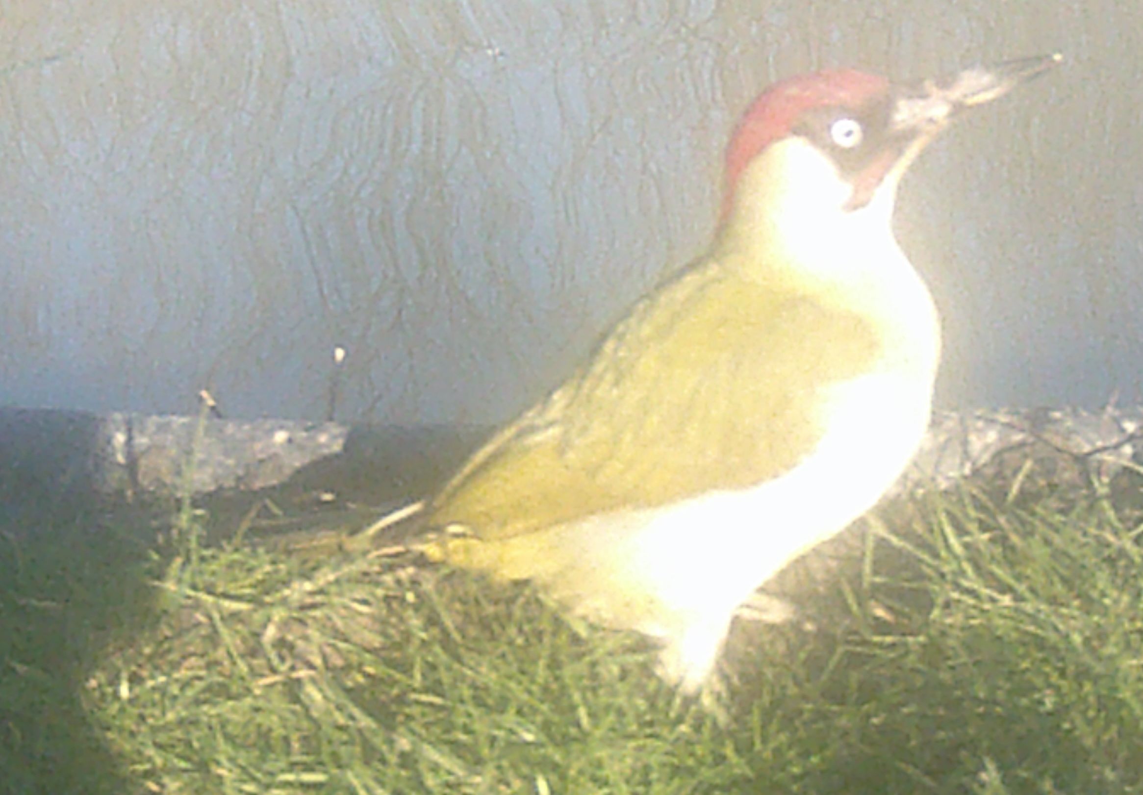 DSCF0283