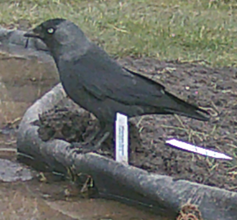 DSCF0571