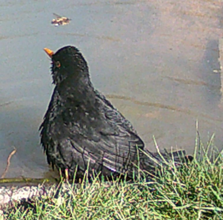 DSCF0715