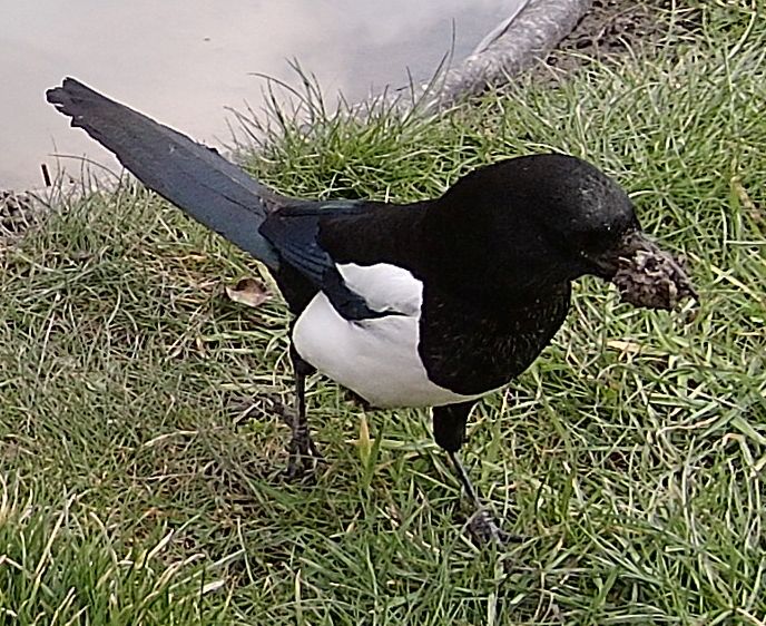 IMAG0052