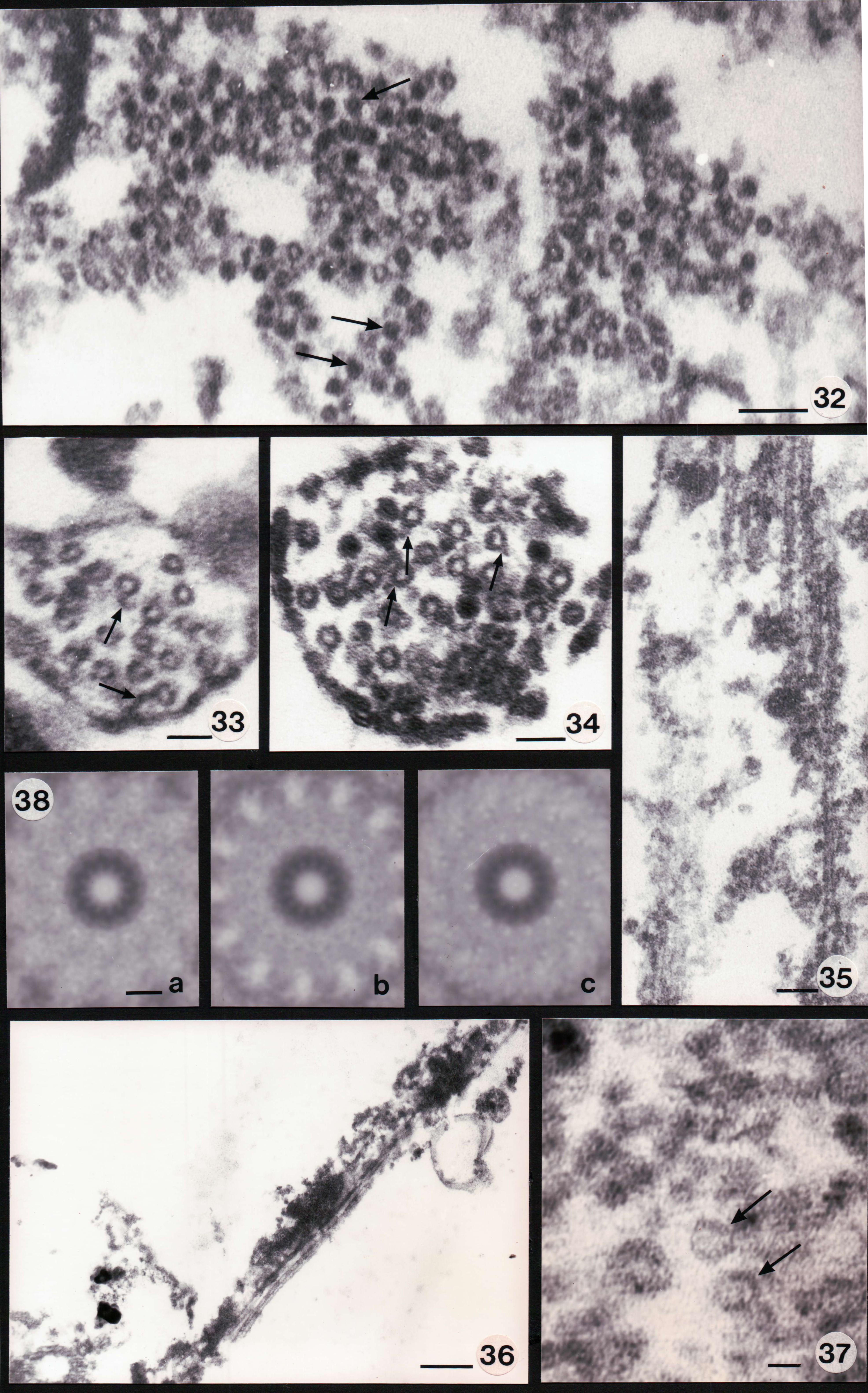 Abbildungen 08a