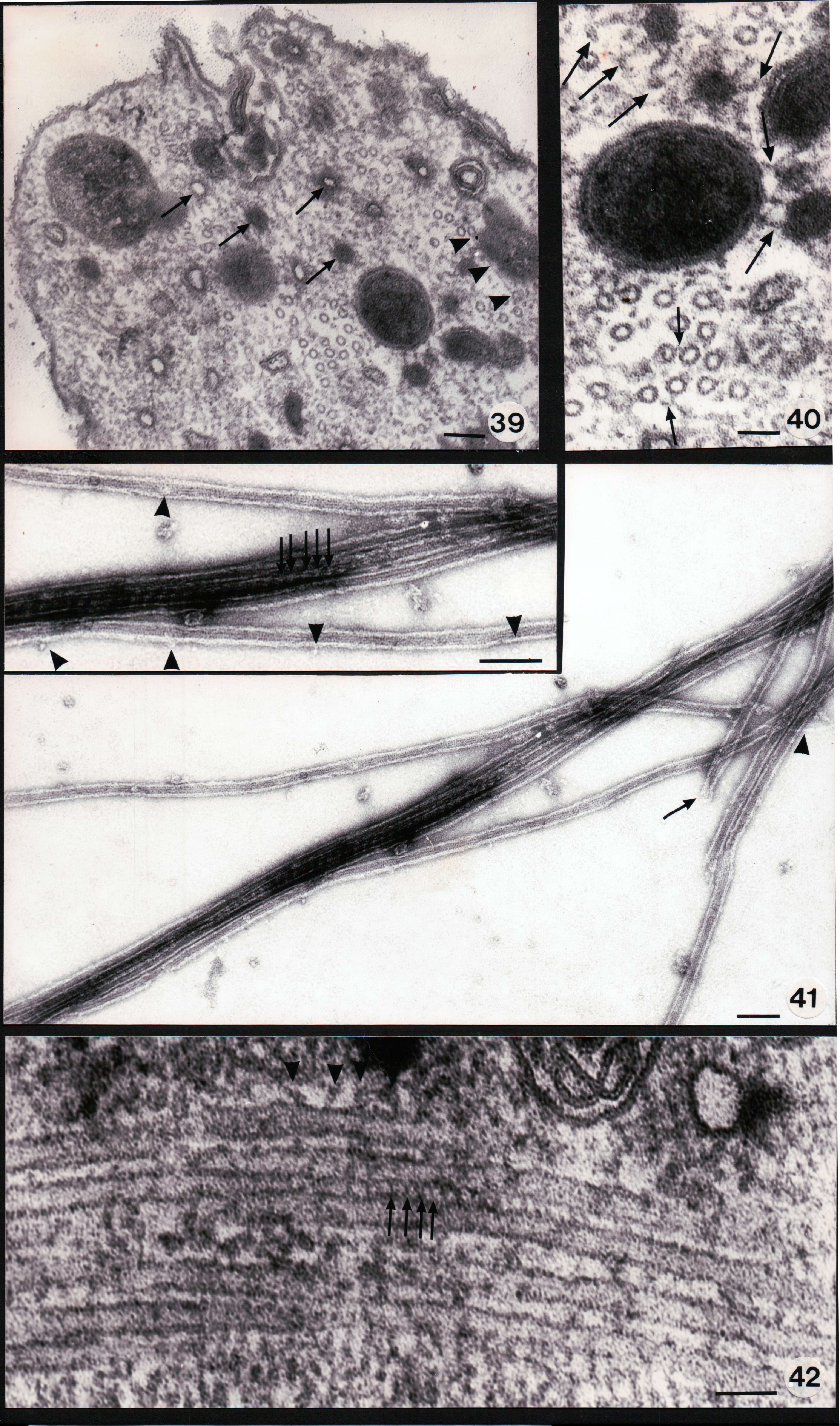 Abbildungen 09a