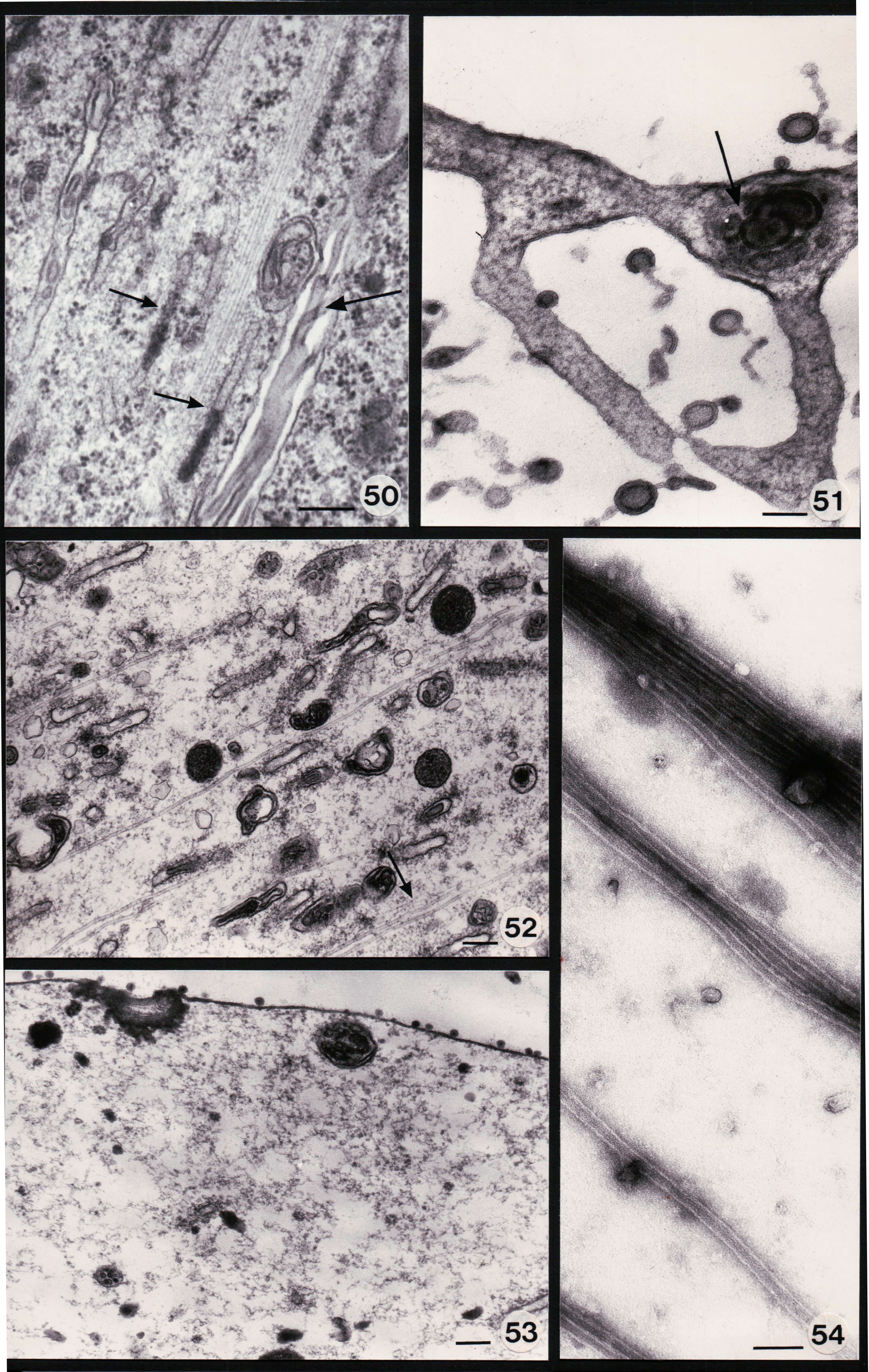 Abbildungen 11a