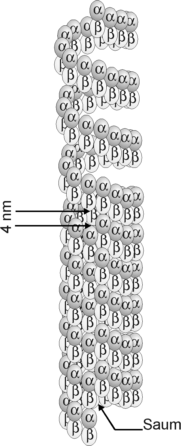 tub2 hf